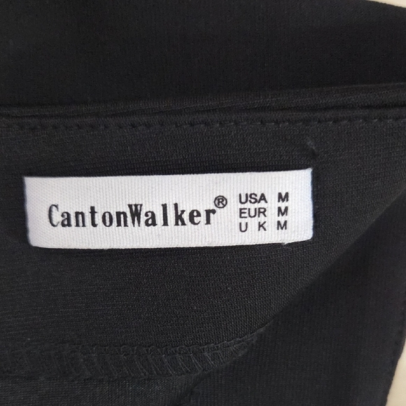 CANTON WALKER, Elegant Dark Mini Skirt - Picture 7 of 10